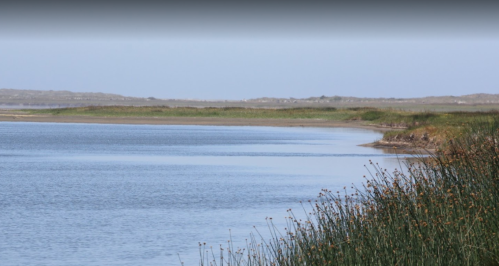 A serene landscape featuring calm water, grassy banks, and distant hills under a clear blue sky.