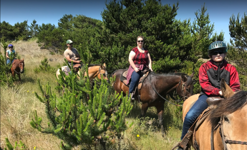 Four people on horseback in a grassy area surrounded by trees, enjoying a sunny day outdoors.
