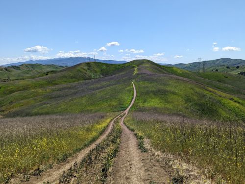 A winding dirt path leads through lush green hills under a clear blue sky with scattered clouds.