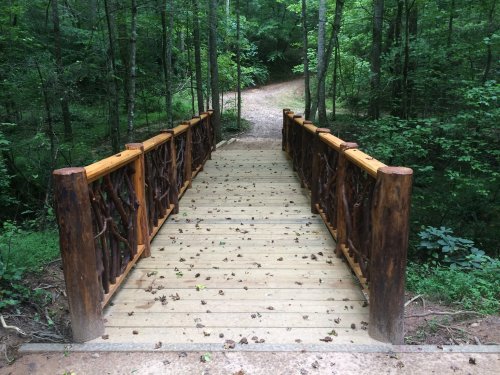 A wooden bridge with rustic railings spans a path through a lush green forest.