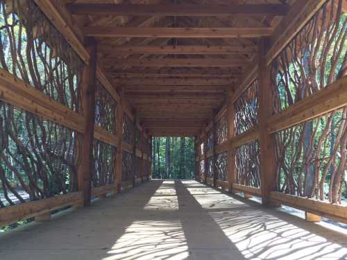 A wooden walkway with intricate twig railings, surrounded by trees and dappled sunlight.