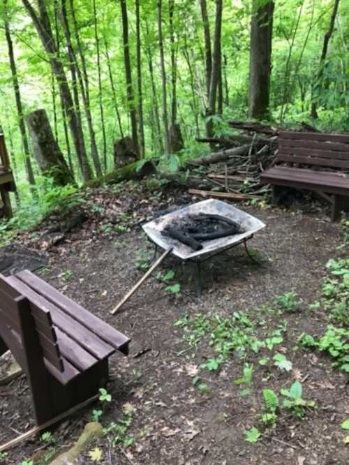 A rustic fire pit surrounded by wooden benches in a lush green forest setting.