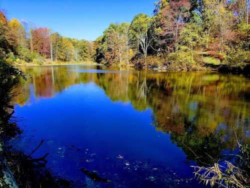 A serene lake surrounded by colorful autumn trees, reflecting the clear blue sky and vibrant foliage.