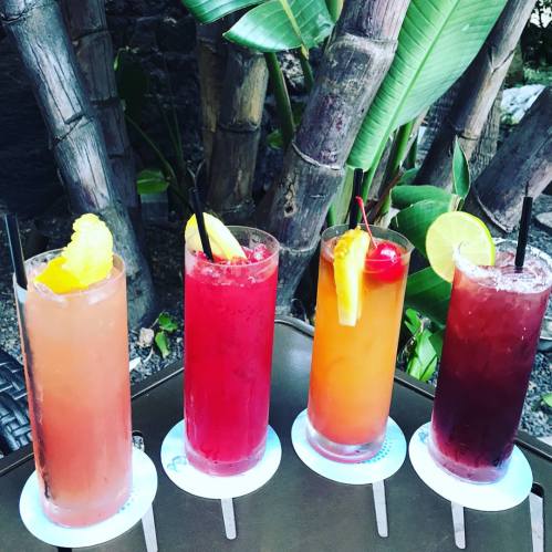 Four colorful cocktails with garnishes, served on a table surrounded by tropical plants.