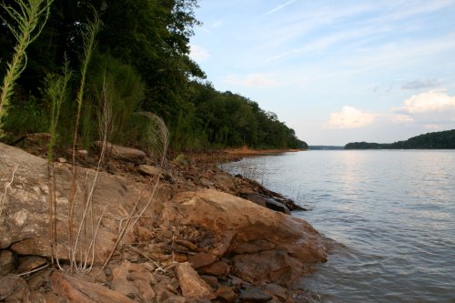 A serene lakeside view with rocky shorelines and lush greenery under a clear sky.