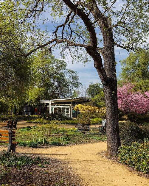 A serene garden path lined with trees and colorful flowers, leading to a modern building in the background.