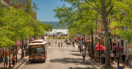 A vibrant street scene with a bus, cyclists, and pedestrians, lined with trees and shops, near a waterfront.