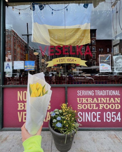 A hand holds yellow tulips in front of Veselka, a Ukrainian restaurant, with a banner and flower pots visible.