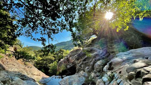 Sunlight filters through trees over rocky terrain, with mountains in the background and a clear blue sky.
