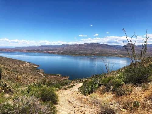 A scenic view of a calm lake surrounded by mountains and desert vegetation under a clear blue sky.