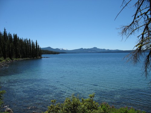 A serene lake surrounded by evergreen trees and distant mountains under a clear blue sky.