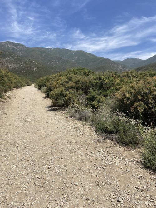 A dirt path winds through green shrubs, leading towards mountains under a blue sky with scattered clouds.