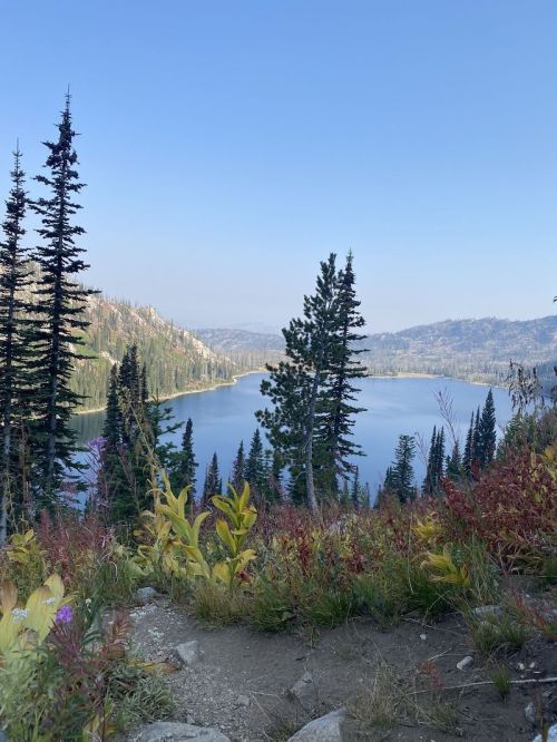 A serene lake surrounded by tall trees and colorful foliage under a clear blue sky.