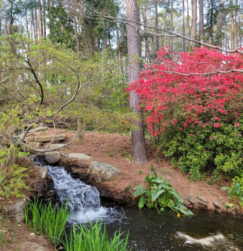 A serene landscape featuring a small waterfall, lush greenery, and vibrant pink flowers among tall trees.