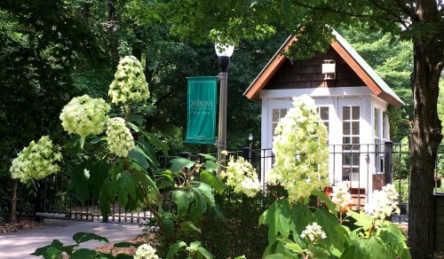 A small wooden building surrounded by lush greenery and white flowering plants, with a green banner nearby.