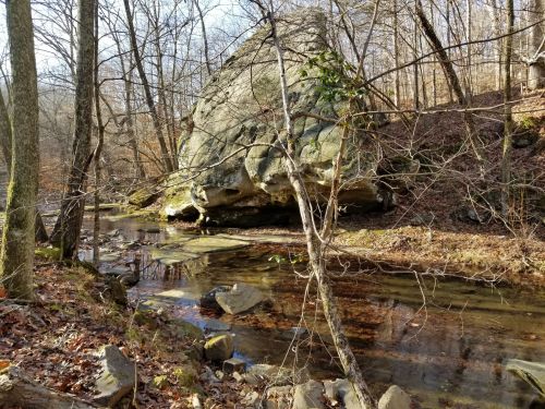 A large boulder beside a calm stream, surrounded by trees and fallen leaves in a serene natural setting.