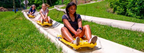 Three young women enjoy a summer day riding down a luge track on yellow sleds, surrounded by green grass and trees.