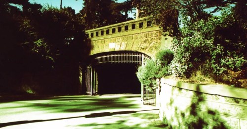 A dark tunnel entrance framed by greenery and a stone archway, with sunlight casting shadows on the road.