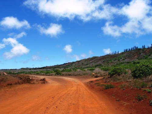 A winding dirt road leads through a lush, green landscape under a bright blue sky with scattered clouds.