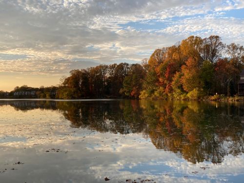 A serene lake reflects colorful autumn trees under a cloudy sky, creating a peaceful natural scene.