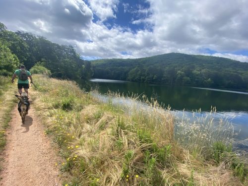 A person walks a dog along a scenic trail by a lake, surrounded by lush greenery and a cloudy sky.