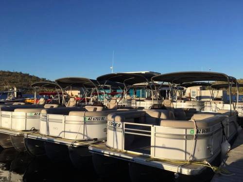A row of pontoon boats docked at a marina under a clear blue sky.
