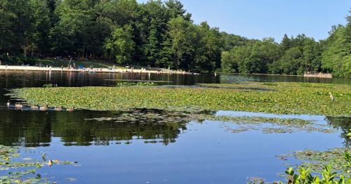Beach at Laurel Lake Pennsylvania surrounded by forest