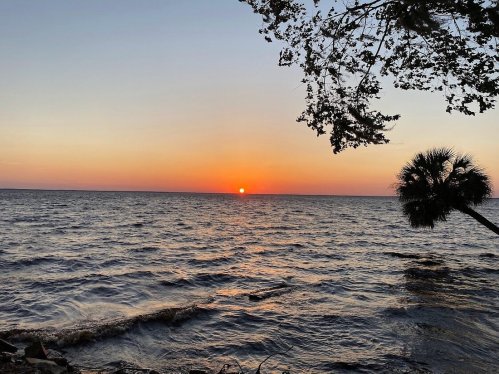 A serene sunset over the water, with vibrant orange and purple hues and a silhouette of trees in the foreground.