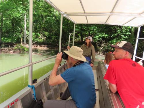 A group of people on a boat, observing nature and taking photos in a lush green environment.