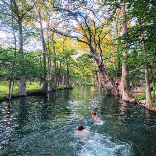 A serene river scene with swimmers enjoying the water, surrounded by lush green trees and sunlight filtering through the leaves.