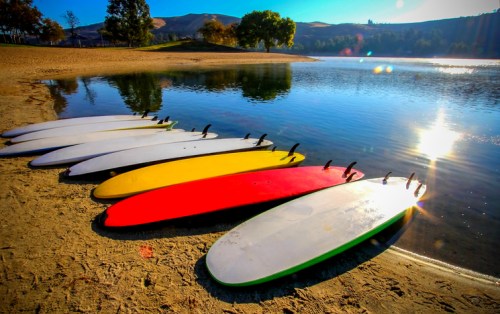 Colorful paddleboards lined up on a sandy shore beside a calm lake, with sunlight reflecting on the water.