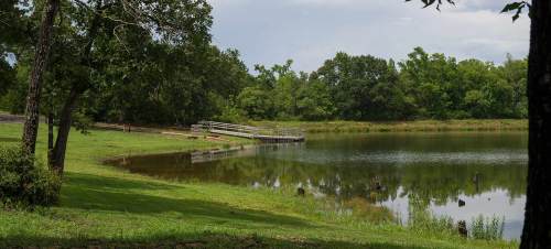 A serene lake surrounded by trees, with a wooden dock extending into the water and a grassy area nearby.