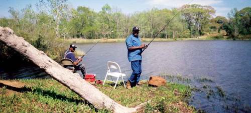 Two men fishing by a serene pond, one sitting on a chair and the other standing, with trees and grass in the background.