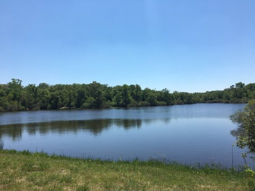 A serene lake surrounded by lush greenery under a clear blue sky.