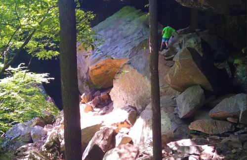 A person in a green shirt climbs a rocky slope surrounded by trees and sunlight filtering through the foliage.