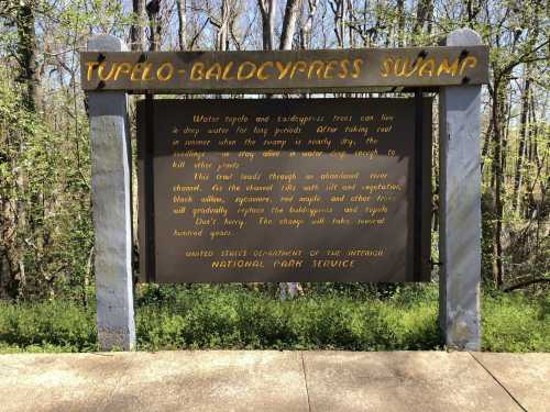 Sign for Tupelo-Baldcypress Swamp, describing the ecosystem and features of the area, surrounded by trees.