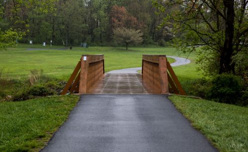 A wooden bridge spans a small stream, leading to a grassy area with trees and a winding path in the background.