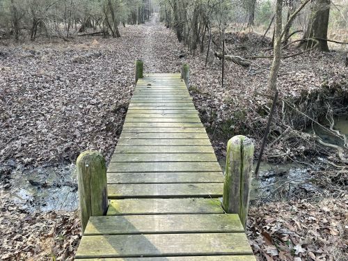 A wooden bridge over a small stream, surrounded by a forest path covered in fallen leaves.