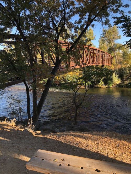 A wooden bridge spans a river, framed by trees and sunlight, with a sandy path in the foreground.