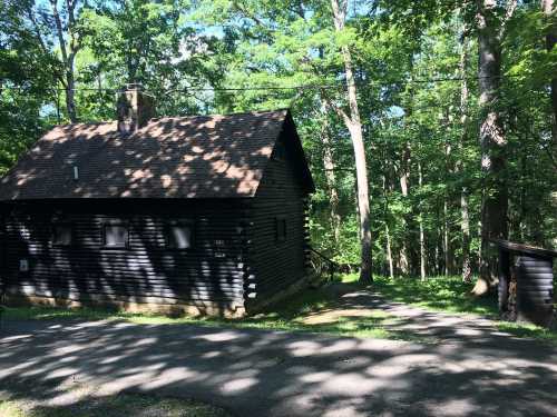 A dark wooden cabin surrounded by lush green trees and a gravel path leading up to it.