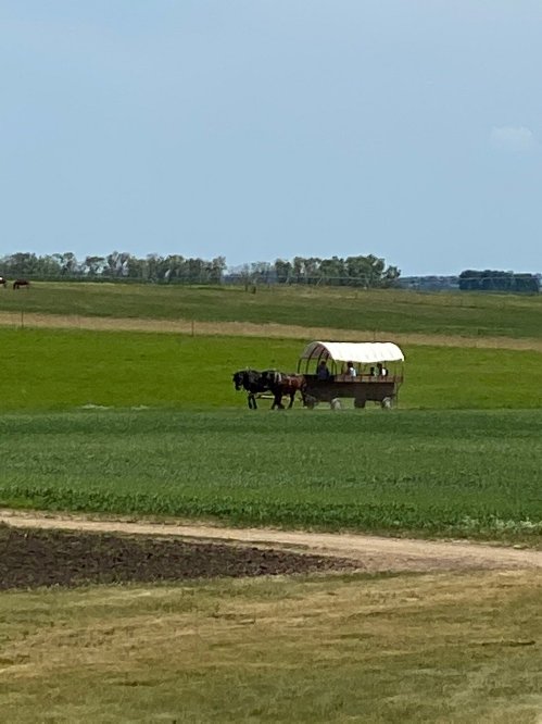 A horse-drawn wagon travels across a green field under a clear blue sky.