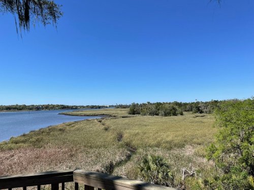 A serene view of a marshland with tall grasses, trees, and a clear blue sky over a calm waterway.
