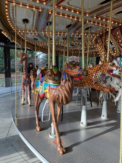 A carousel featuring colorful, ornate animal figures, including a camel, giraffe, and leopard, in a park setting.