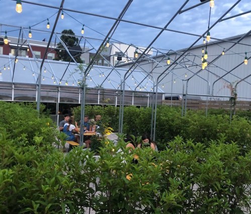 A greenhouse setting with string lights, featuring people dining among lush greenery and a cloudy sky above.