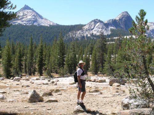 A hiker in a hat stands on rocky terrain, surrounded by tall trees and mountains under a clear blue sky.