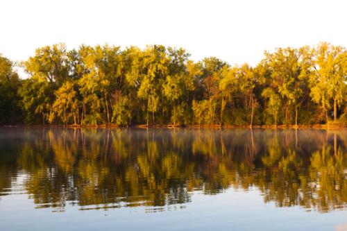 A serene lake reflecting lush green trees under soft morning light.