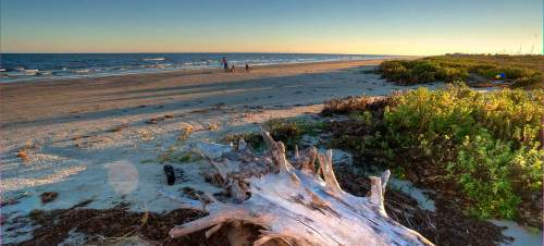 A serene beach scene at sunset, featuring a driftwood log and people walking along the shore.