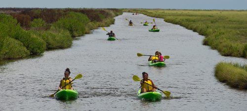 A group of people kayaking in a narrow waterway surrounded by lush greenery under a clear sky.