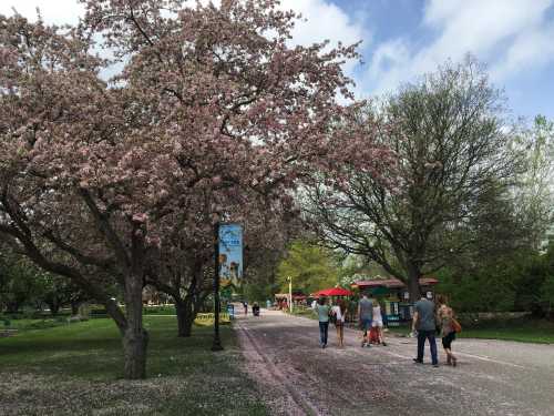 A scenic park path lined with blooming cherry trees, people walking, and colorful vendor stands in the background.