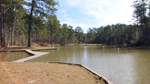 A serene lake surrounded by tall trees, with a wooden dock extending into the water under a clear blue sky.